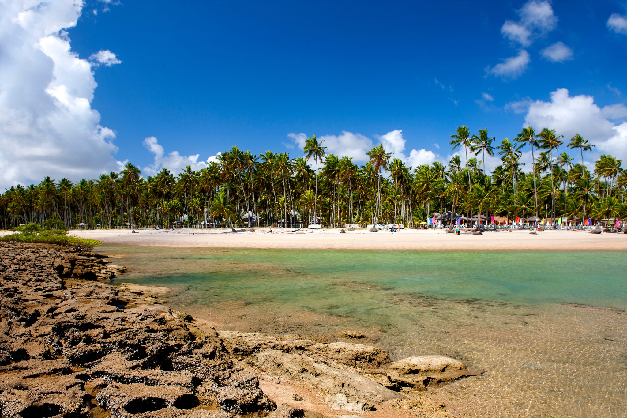 Bate-Volta Praia dos Carneiros | Crédito: Shutterstock