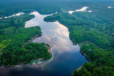 Amazonia shutterstock 585888767 reduzida