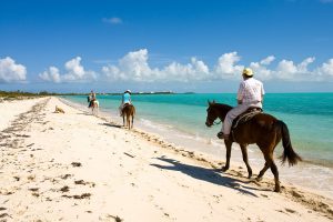 Credito Turks Caicos Tourism Net Hospitality 2