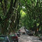 Rua Gonçalo de Carvalho - Porto Alegre | Crédito: Amigos da Rua Gonçalo de Carvalho