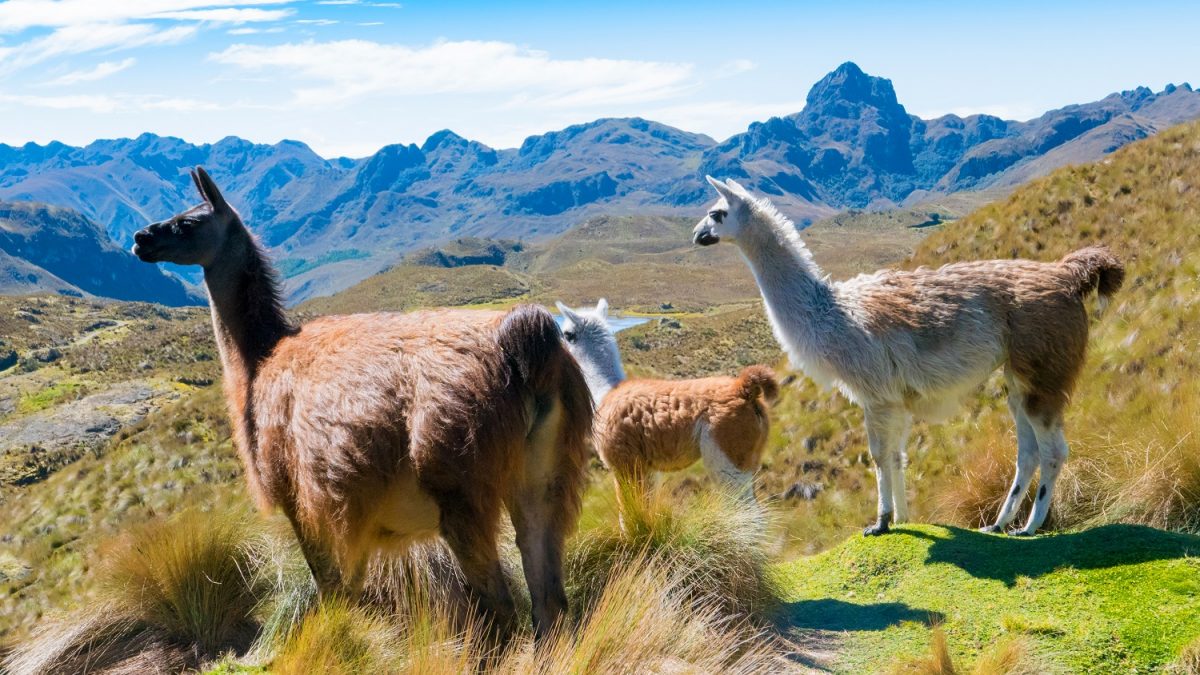 Cuenca - Equador | Crédito: Shutterstock