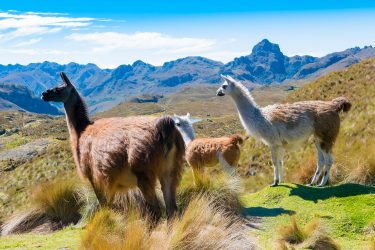 Cuenca - Equador | Crédito: Shutterstock