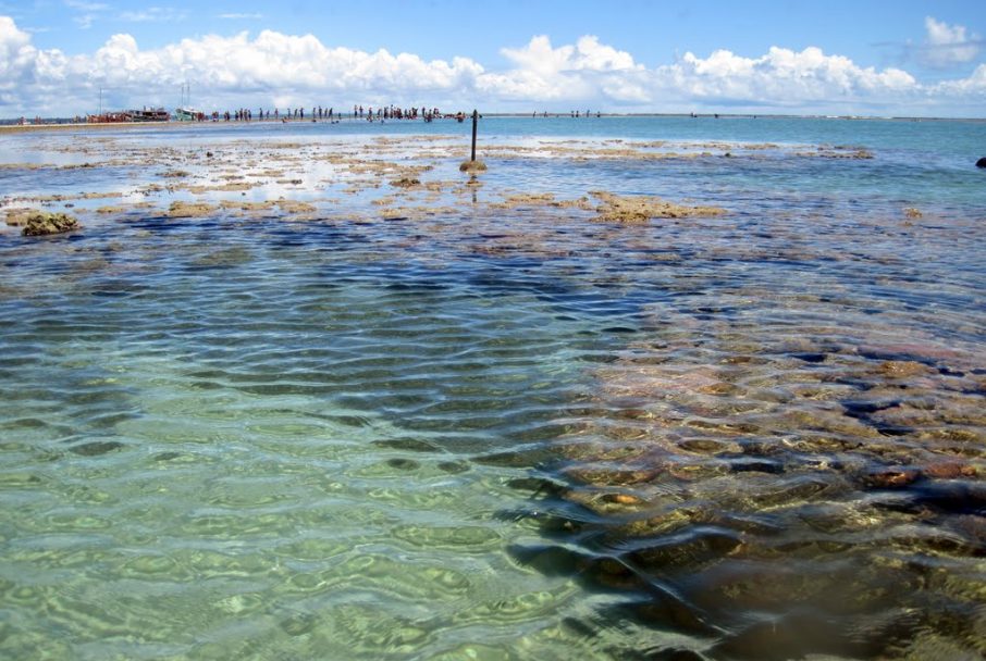 Parque Marinho de Recife de Fora - Porto Seguro (BA)