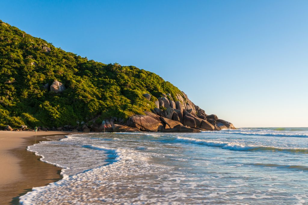 Avós- Praia Brava - Florianópolis - Santa Catarina | Crédito: Shutterstock.com