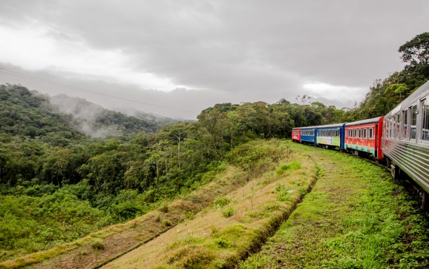 Passeio de trem entre Morretes e Curitiba - Paraná | Crédito editorial: Erica Catarina Pontes/Shutterstock.com