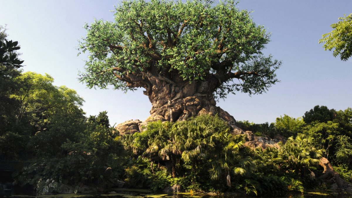 Disney’s Animal Kingdom Theme Park – Orlando – Estados Unidos | Crédito: ©Disney