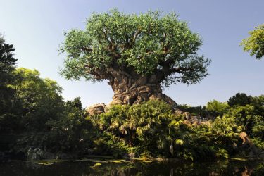 Disney’s Animal Kingdom Theme Park – Orlando – Estados Unidos | Crédito: ©Disney