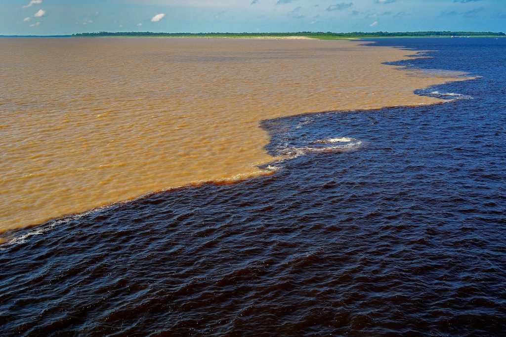 Encontro das Águas - Manaus - Amazonas | Crédito: Shutterstock