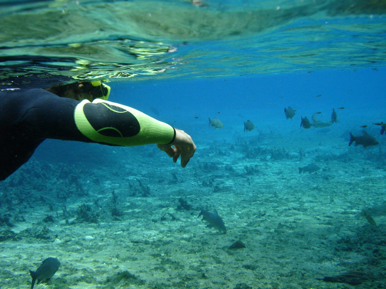 Bonito Mato Grosso Do Sul Mística Aventureira E Apaixonante