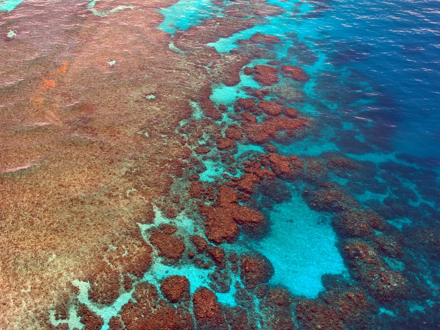 Grande Barreira de Corais - Austrália | Crédito: Pixabay