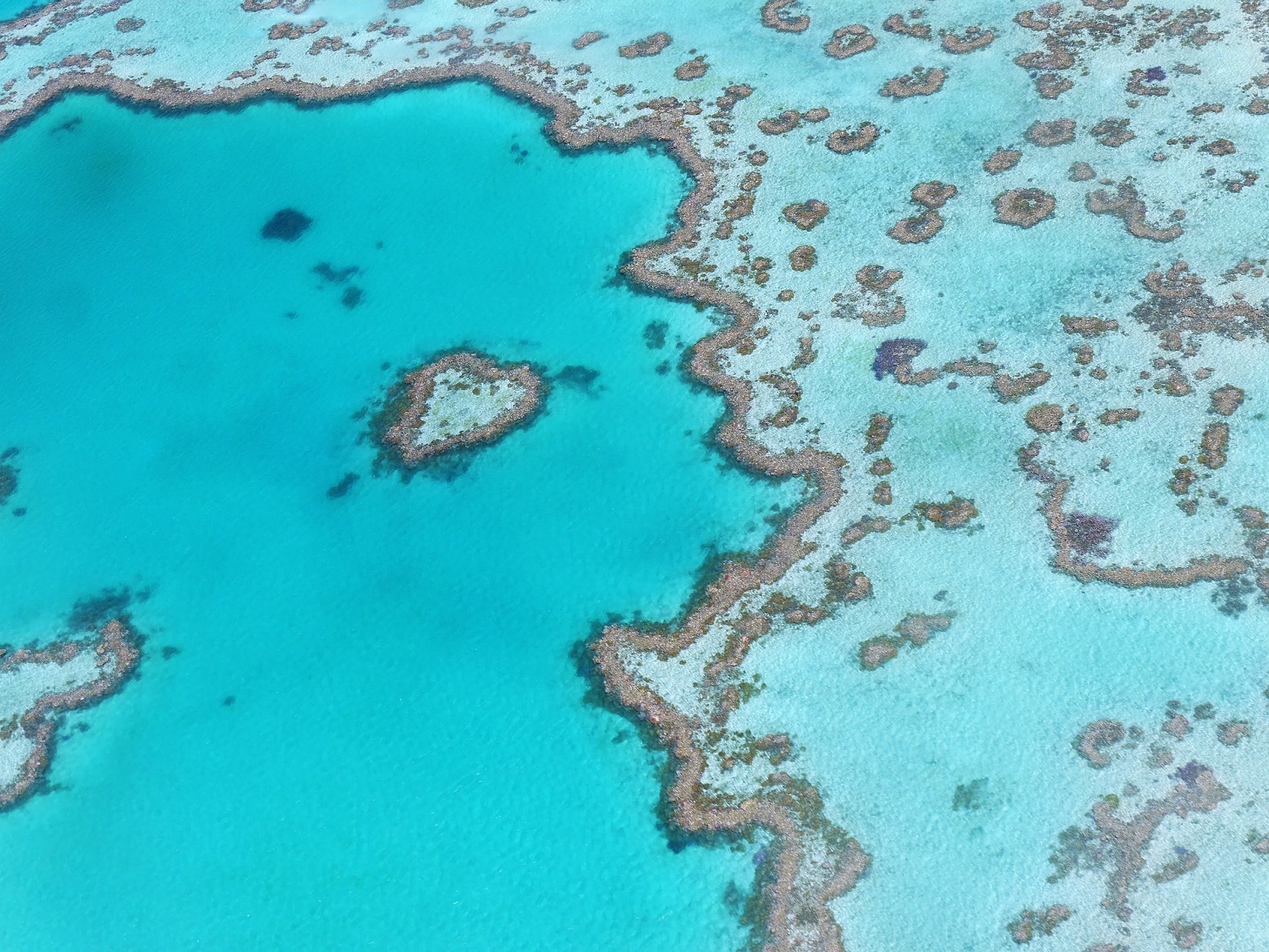 Grande Barreira de Corais - Austrália | Crédito: Pixabay