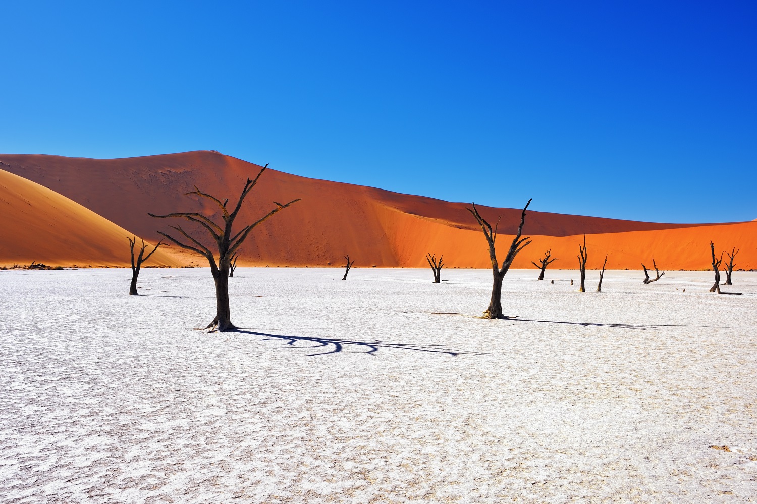 Deserto Namíbia | Crédito: Shutterstock