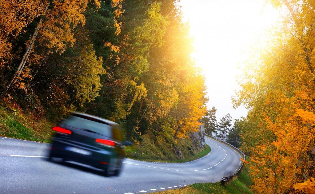 Como escolher o carro ideal para uma road trip | Crédito: Shutterstock