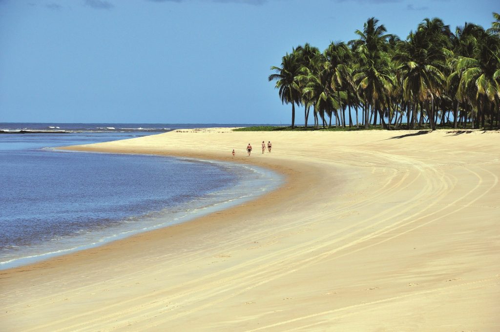 Praia do Gunga - Maceió - Alagoas | Crédito: Shutterstock