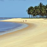 Praia do Gunga - Maceió - Alagoas | Crédito: Shutterstock