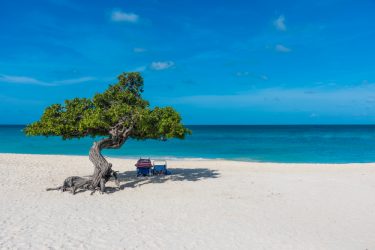 shutterstock Eagle Beach Aruba