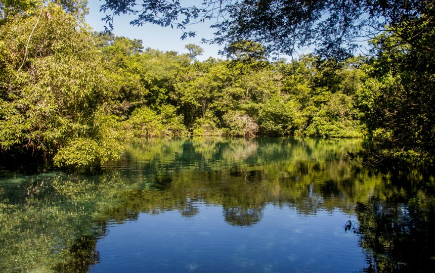 Recanto Ecológico Rio da Prata - Bonito | Crédito: Shutterstock