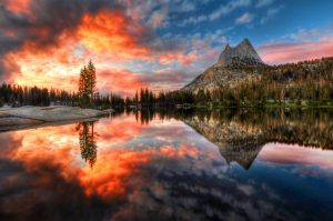 Yosemite National Park California Estados Unidos shutterstock 94624858