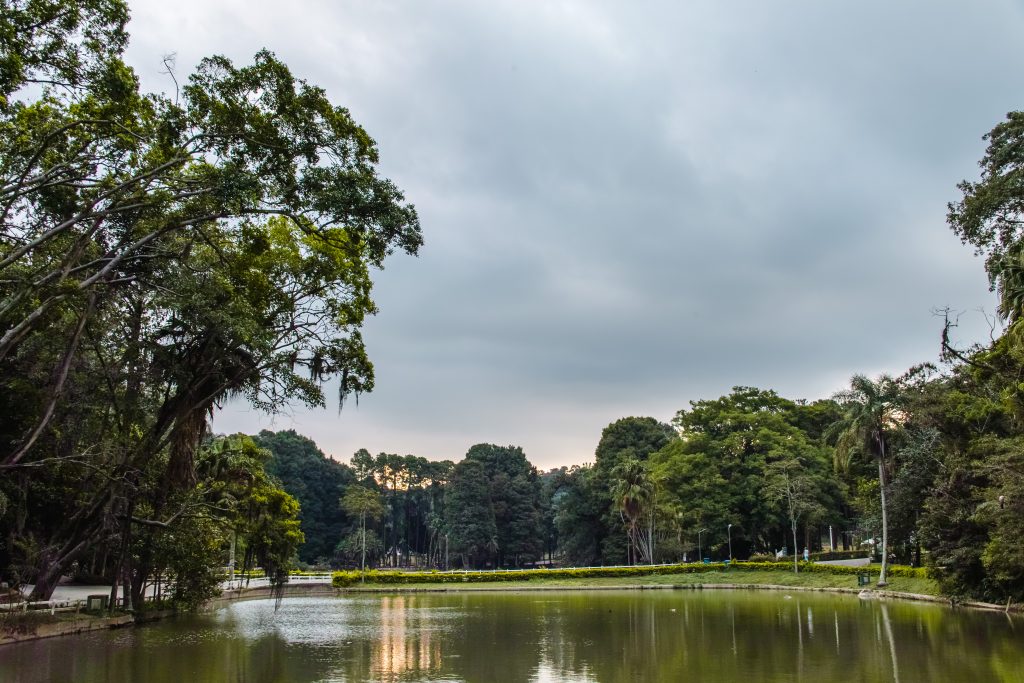 Horto Florestal - São Paulo | Crédito: Shutterstock