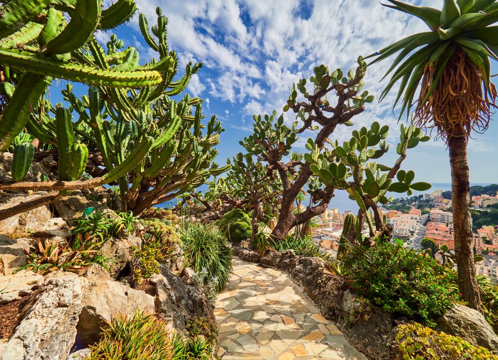 Jardim Exotique - Monte Carlo - Mônaco | Crédito editorial: Cristian Puscasu / Shutterstock.com