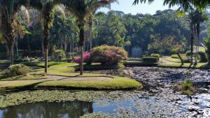 Lugares ao ar livre para curtir: Jardim Botânico - São Paulo | Crédito editorial: Felipecbit/Shutterstock.com