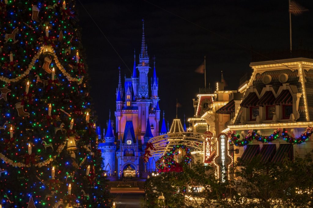 thumbnail Holiday Decor at Magic Kingdom Park