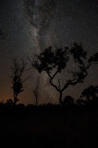 Céu estrelado: Jalapão à noite - Tocantins | Crédito: Shutterstock