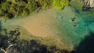 O que fazer em Bonito: Lagoa Misteriosa é um dos points mais procurados | Crédito: Shutterstock
