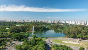Parque Ibirapuera Sao Paulo shutterstock 1289148010