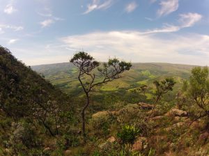 REprograma vai focar em dois biomas a serem definidos | Parque Nacional da Serra da Canastra, em Minas Gerais, um dos principais exemplos do Cerrado brasileiro | Crédito: Shutterstock