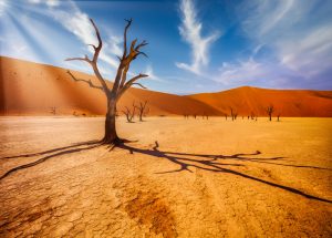Deserto da Namibia shutterstock 1673004010