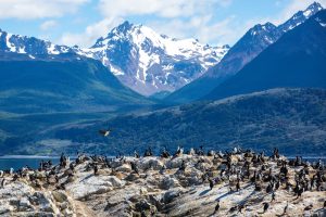 Ushuaia shutterstock 286098977