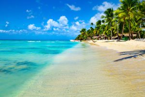 Isla Saona Republica Dominicana shutterstock 1929770138