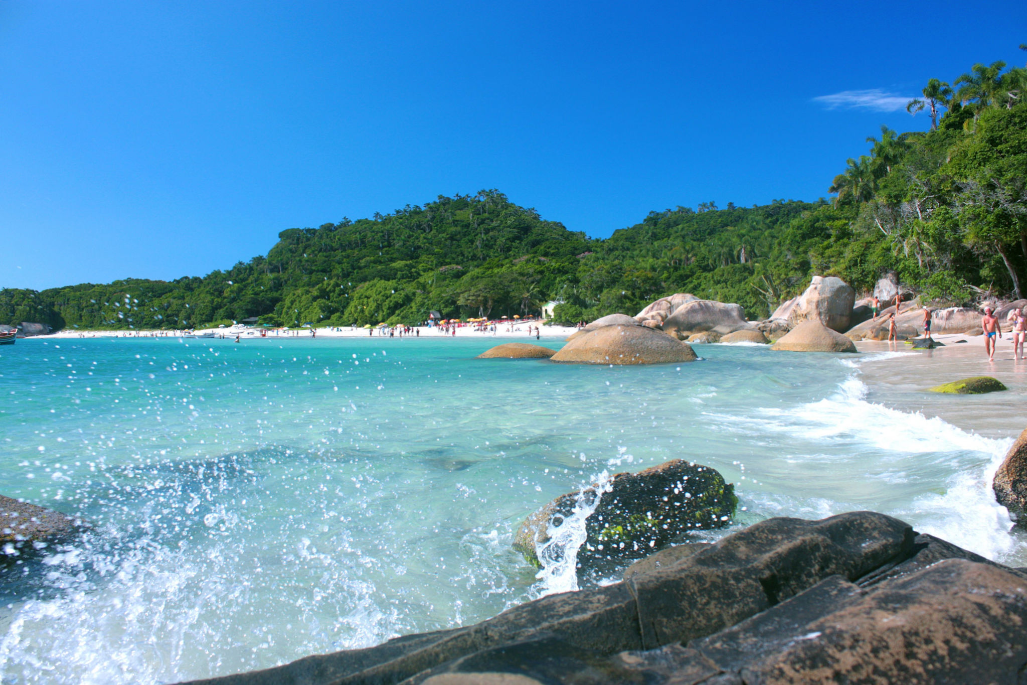 passeio na ilha do campeche praia