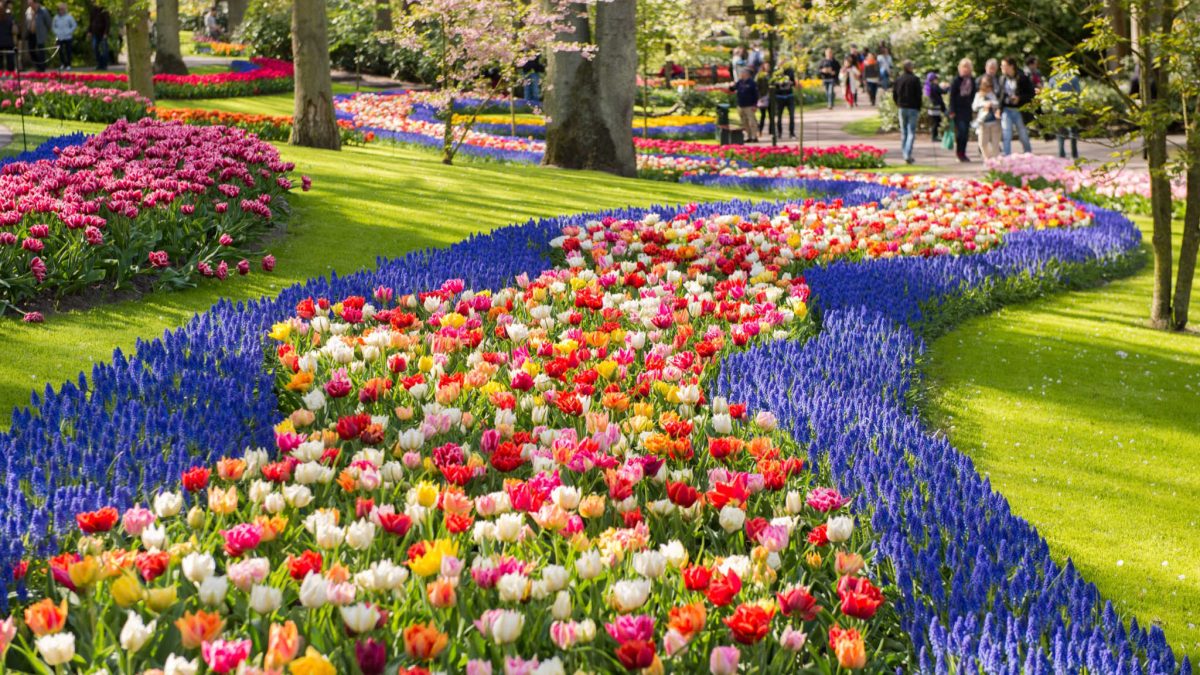 Primavera na Europa paisagens belíssimas em 8 jardins e parques