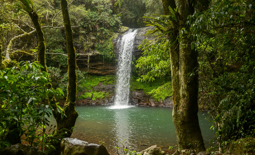 Trilha da Cascata do Garapiá Maquiné